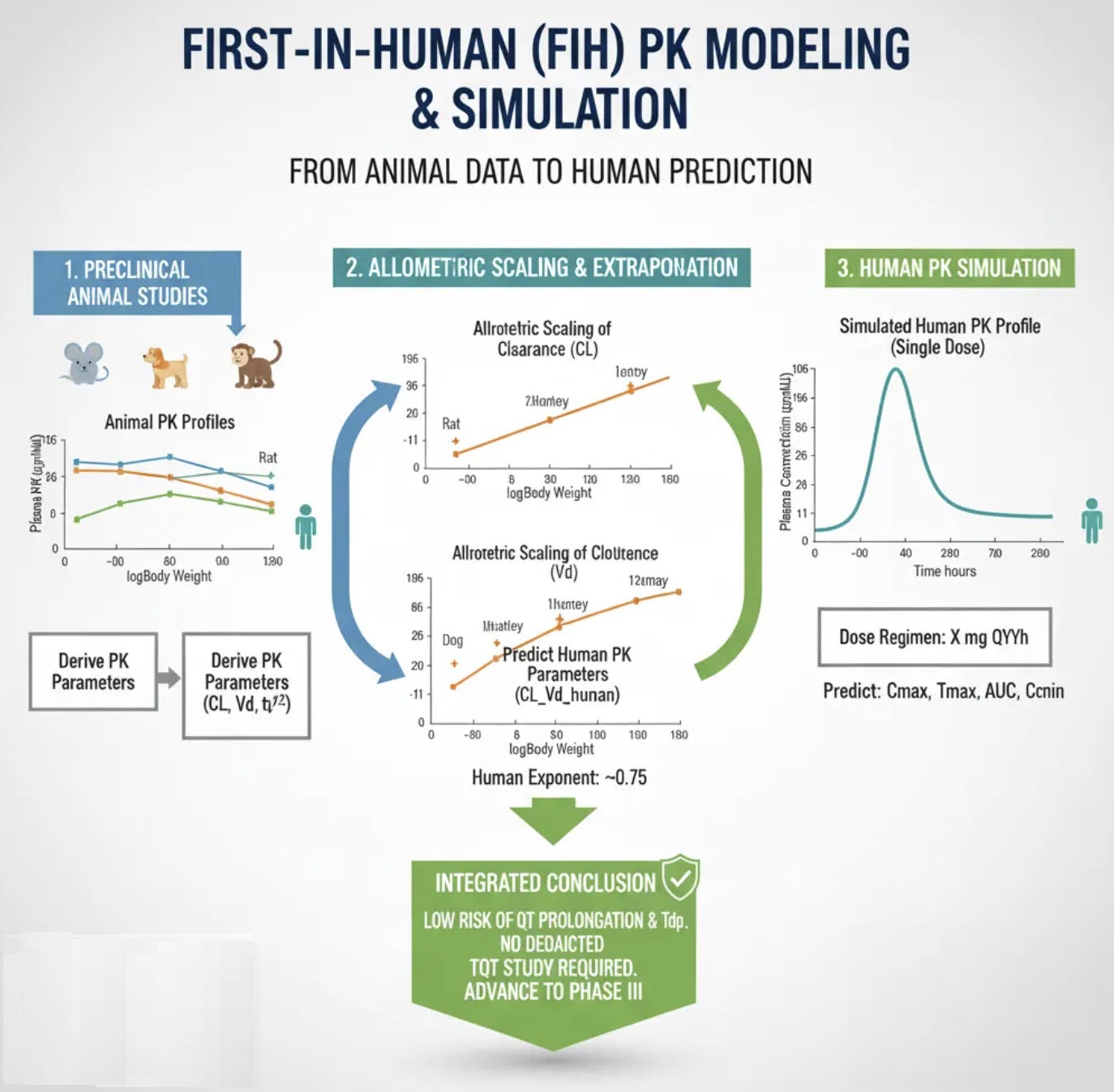 Determine First-in-Human Study Doses with M&S