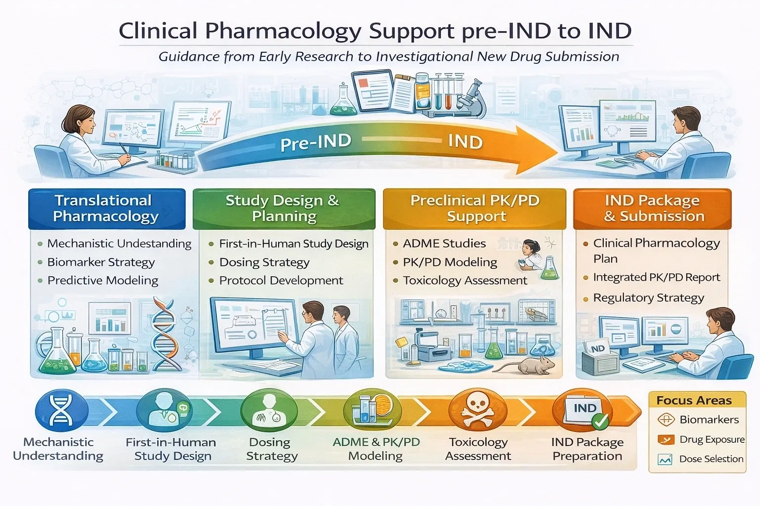 A woman sitting at her desk looking at the screen.